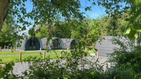Glamping at Share Discovery Village